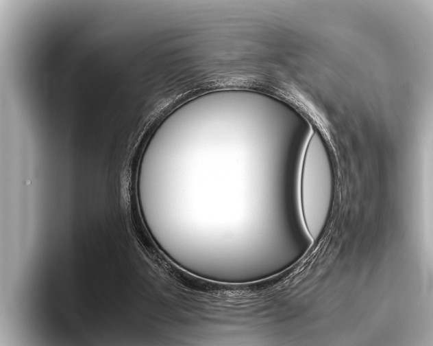 X0000096670107200802051018