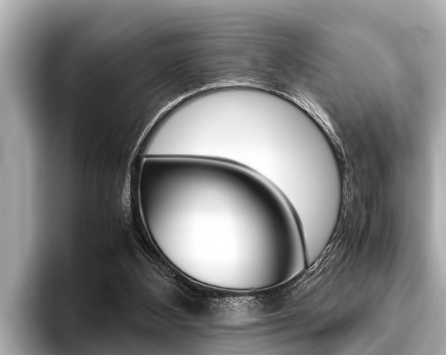 X0000096670108200802051018