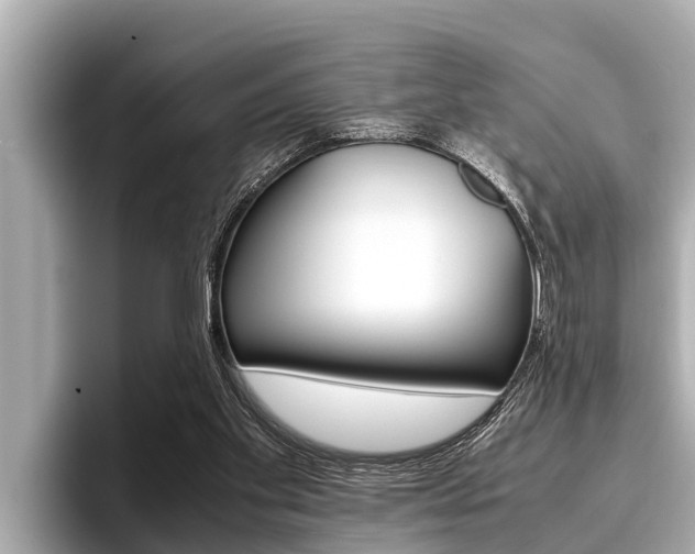X0000096670109200802051018