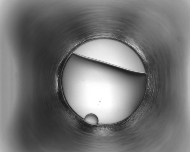X0000096670110200802051018