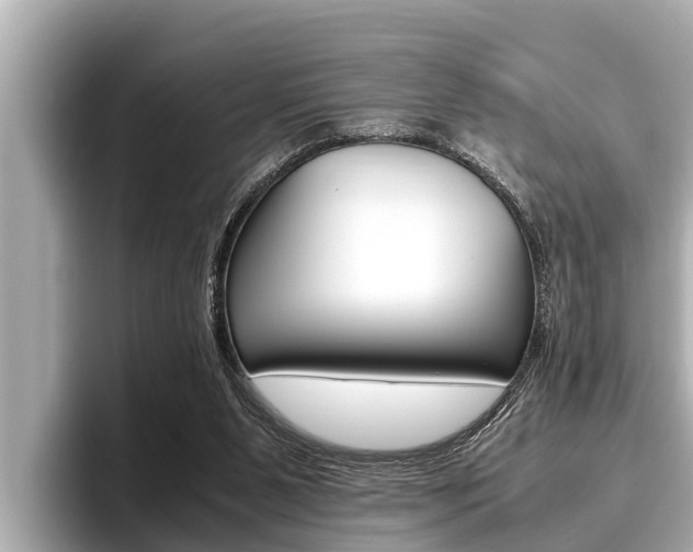 X0000096670111200802051018