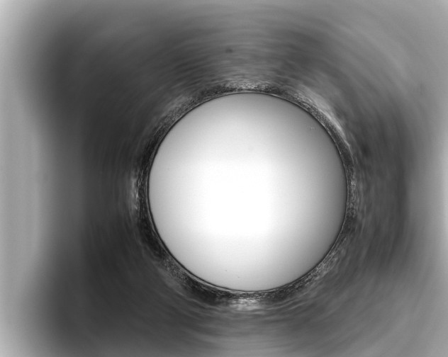 X0000096670114200802051018