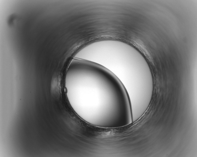 X0000096670116200802051017