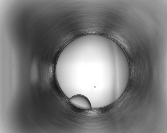 X0000096670118200802051017