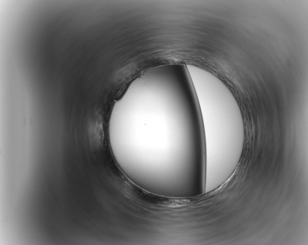 X0000096670128200802051017