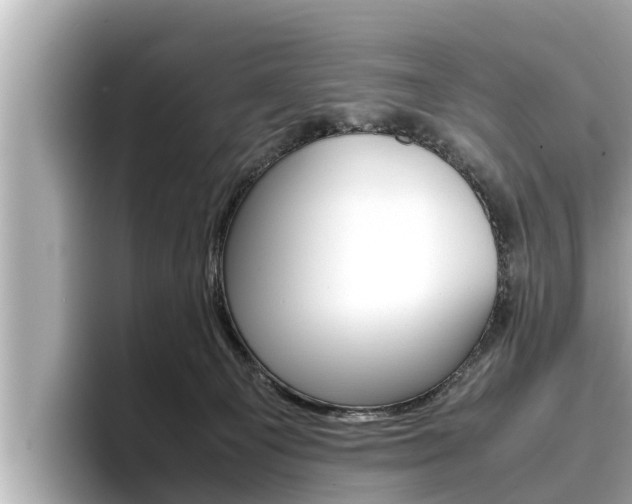 X0000096670129200802051017