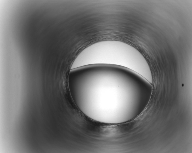 X0000096670132200802051017