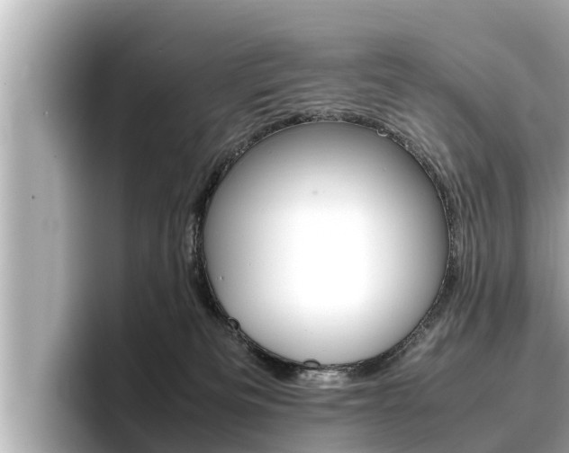 X0000096670133200802051017
