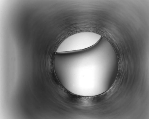 X0000096670136200802051017