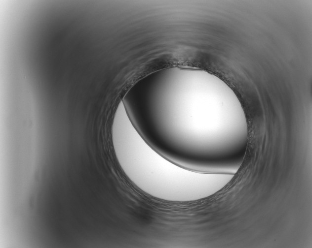 X0000096670137200802051017