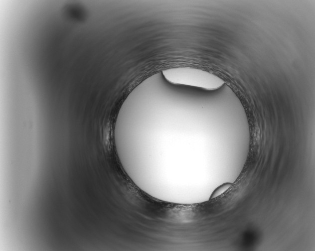 X0000096670138200802051017