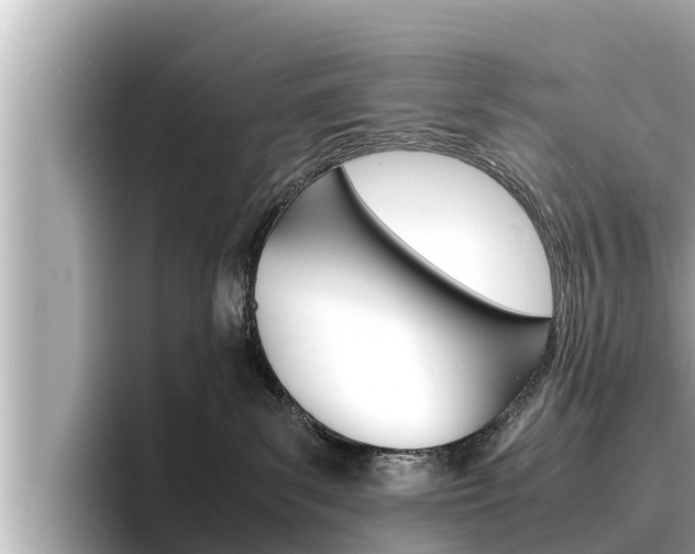 X0000096670139200802051017