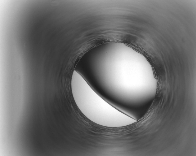 X0000096670141200802051017