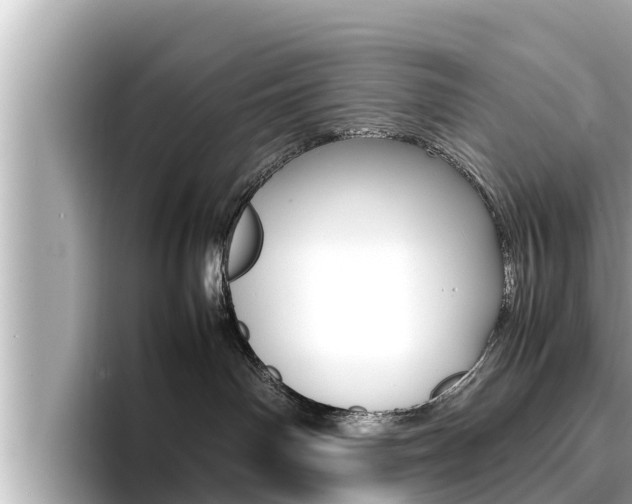 X0000096670142200802051017