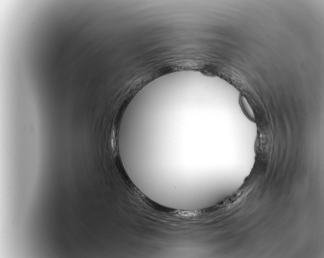 X0000096670143200802051017