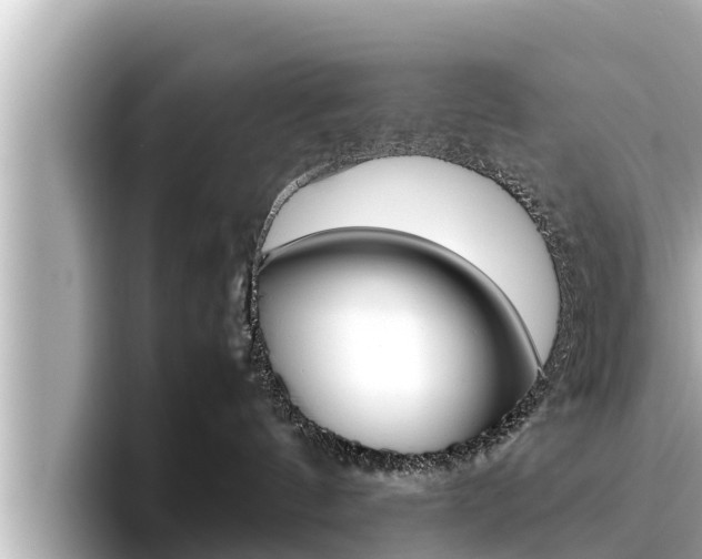 X0000096670144200802051017