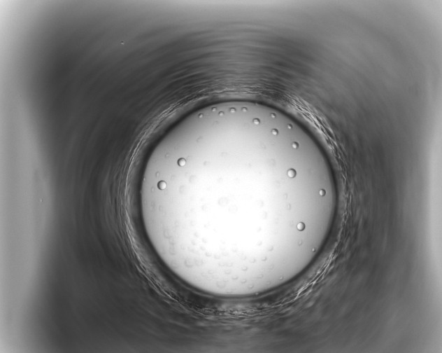 X0000096670145200802051016