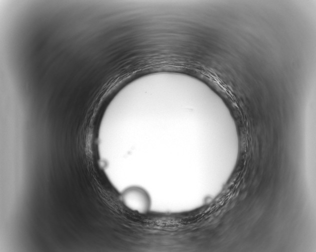 X0000096670146200802051017