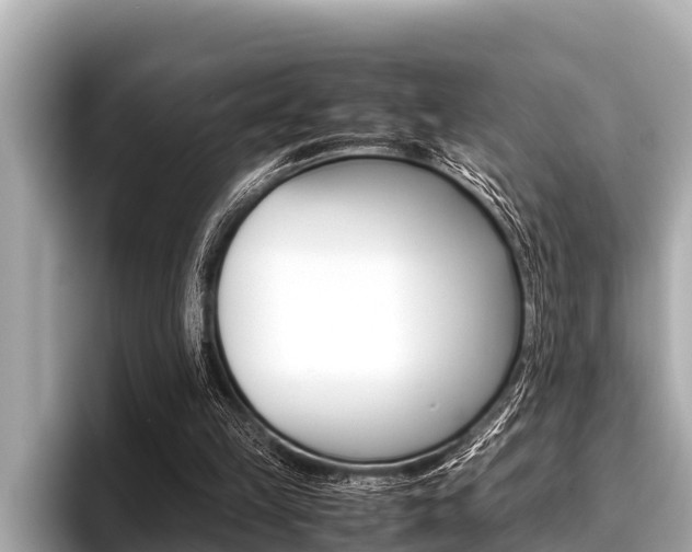 X0000096670149200802051017