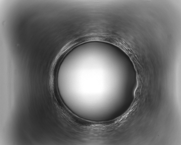 X0000096670150200802051017