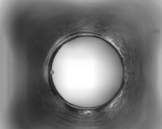 X0000096670151200802051017