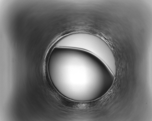 X0000096670152200802051017