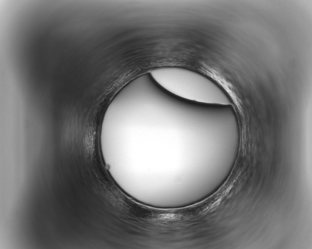 X0000096670153200802051017