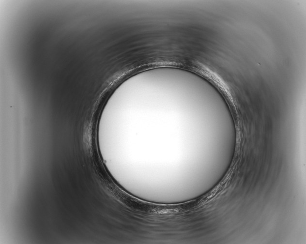 X0000096670155200802051017
