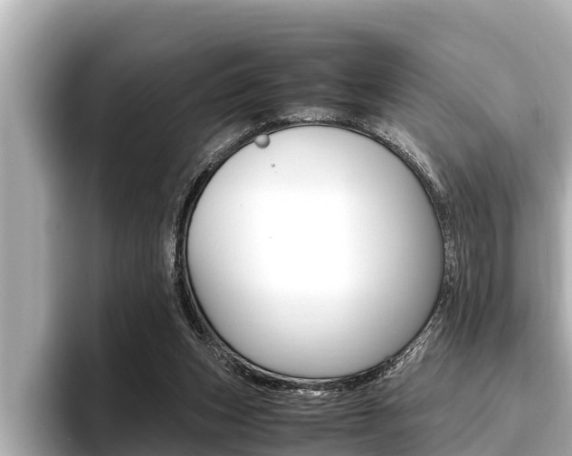 X0000096670159200802051017