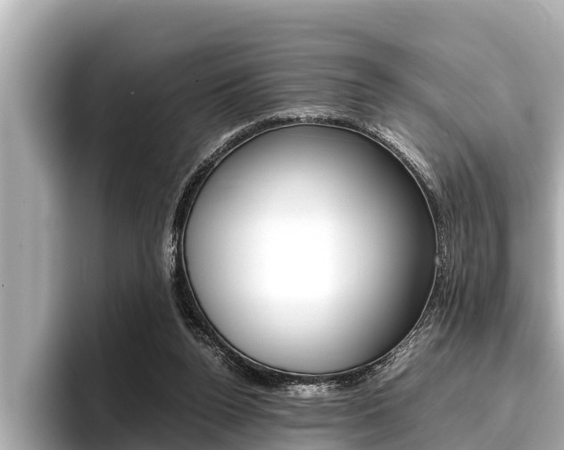 X0000096670160200802051017