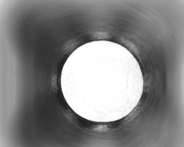 X0000096670162200802051017