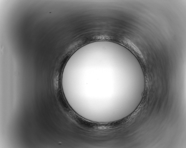 X0000096670163200802051017