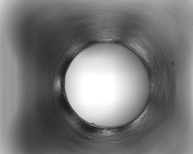 X0000096670166200802051017