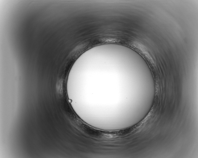 X0000096670167200802051017