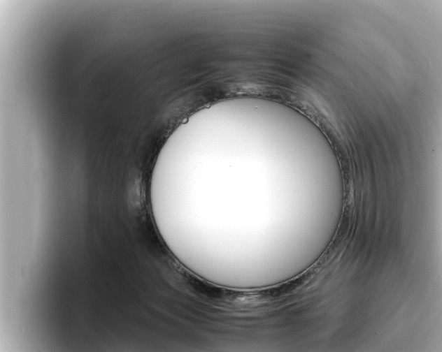 X0000096670173200802051017
