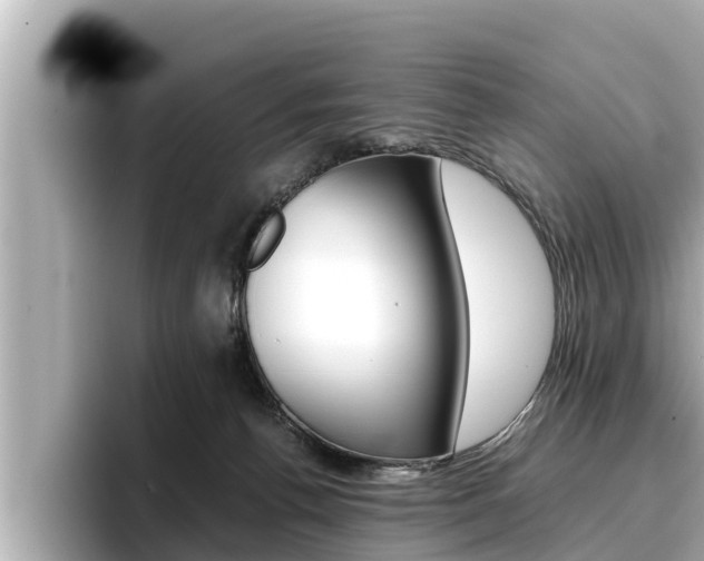 X0000096670176200802051017