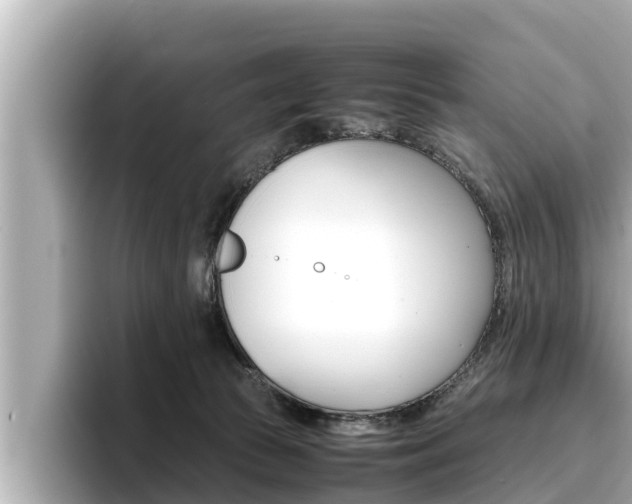 X0000096670177200802051017