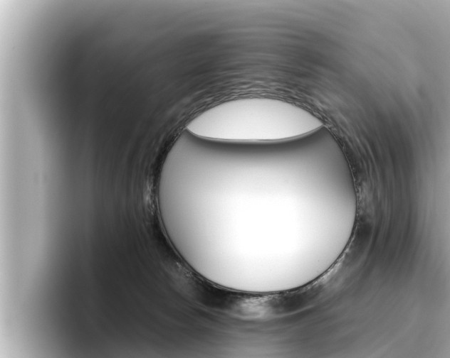 X0000096670178200802051017
