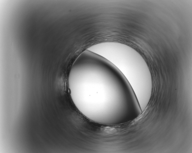 X0000096670180200802051017
