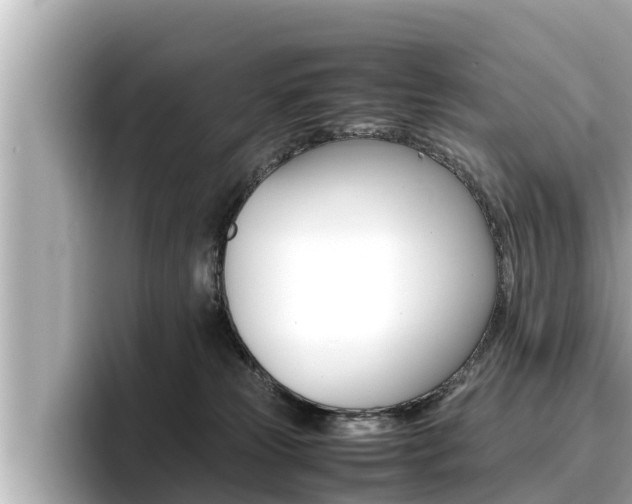 X0000096670181200802051017
