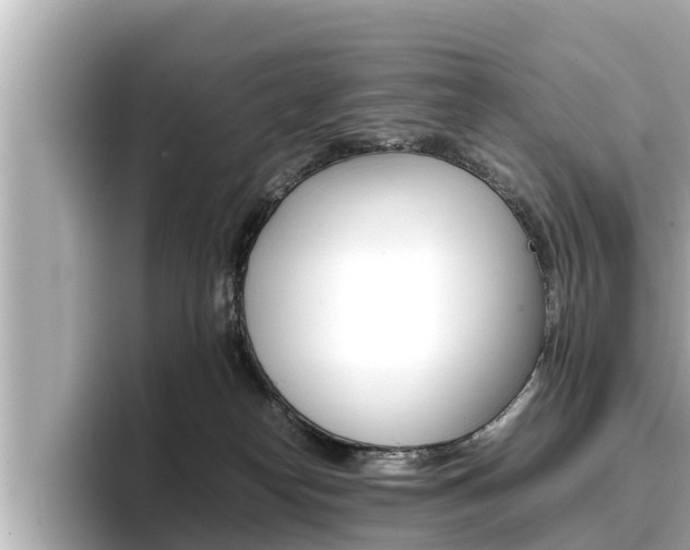 X0000096670182200802051017
