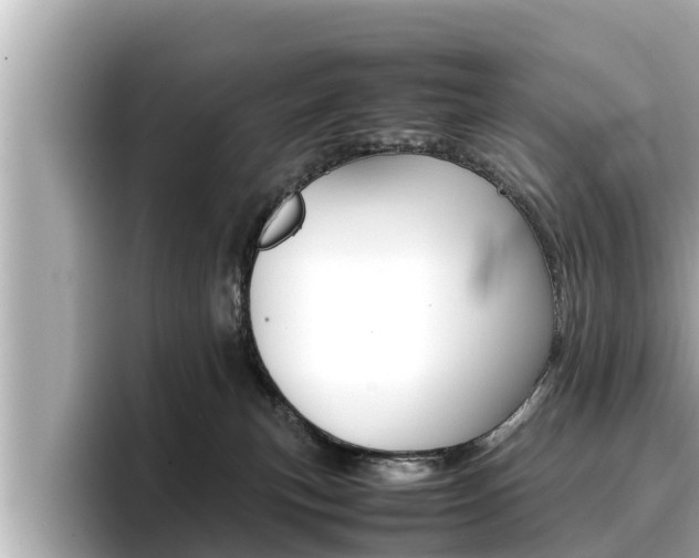 X0000096670183200802051017