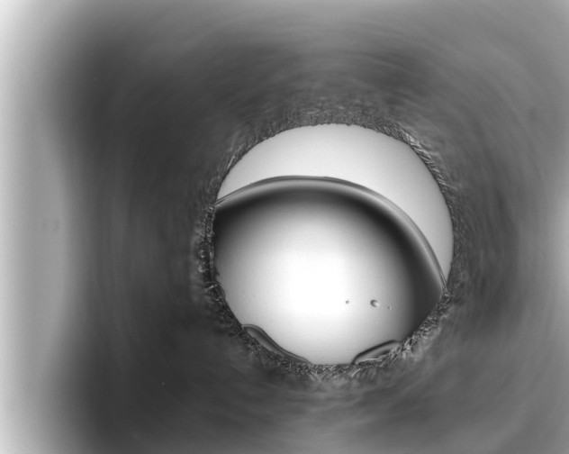 X0000096670192200802051017