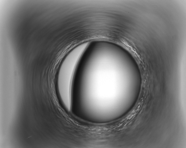 X0000096670193200802051016