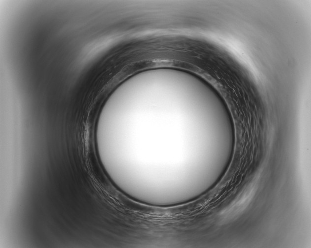 X0000096670194200802051016