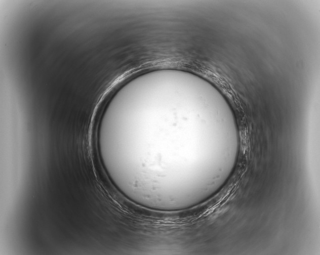 X0000096670196200802051016