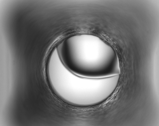 X0000096670197200802051016
