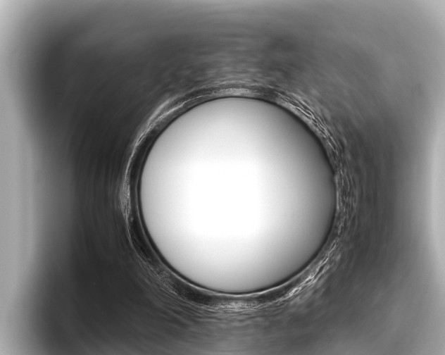X0000096670198200802051016