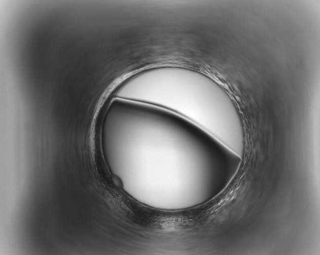 X0000096670200200802051016