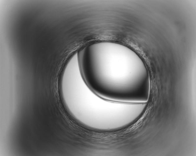 X0000096670201200802051016